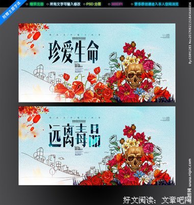 《同构的世界》经典读后感有感