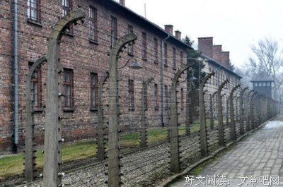 《血腥死亡营》经典观后感有感