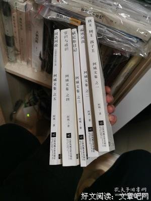 棋王 樹王 孩子王读后感100字