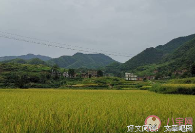 时光仍远 继续前行句子