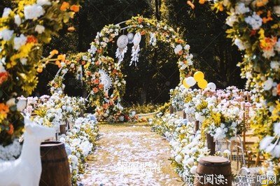 生活是一本书经典的句子