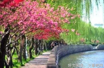 岁月静好经典名句