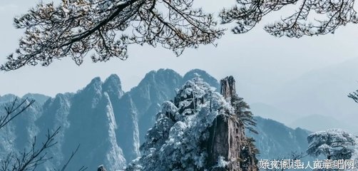 蒋暮寒诗词名句