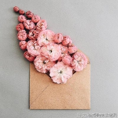 关于落落的优美句子
