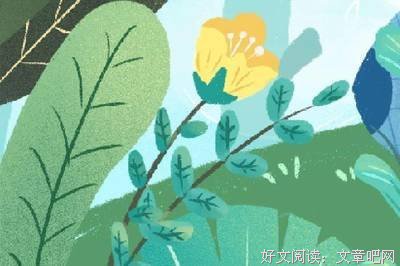 永久记忆版世界文学名著文库（全79套，86册）读后感锦集