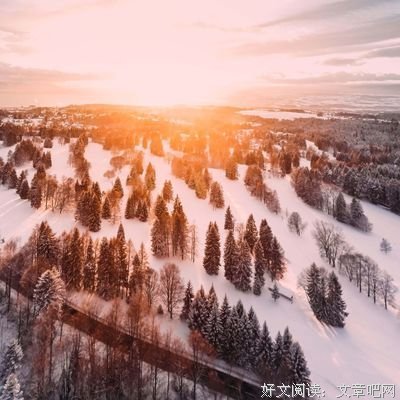 关于生命不可承受之轻的句子