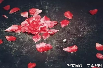 感触的美丽经典名句
