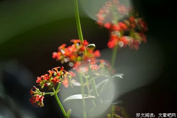 学会忍耐，才能赢得人生