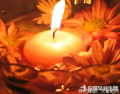 我怕突然想起你读后感摘抄