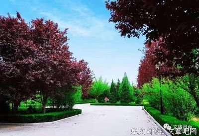 四季行装读后感锦集