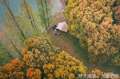 《春季露营》经典观后感1000字