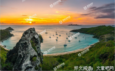 不忍告诉你，痛有多美经典读后感有感