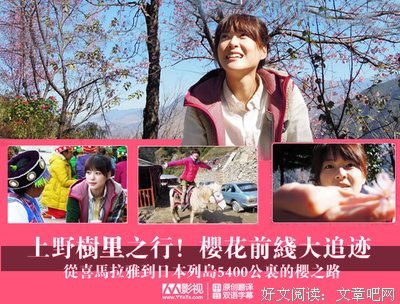 《上野树里之行！樱花前线大追迹～从喜马拉雅到日本列岛5400公里