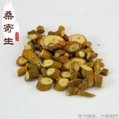 槲寄生读后感1000字