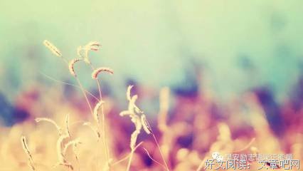 关于花团锦簇的唯美语录