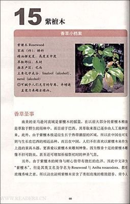 芳香疗法教科书读后感摘抄