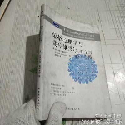 荣格心理学与藏传佛教读后感精选