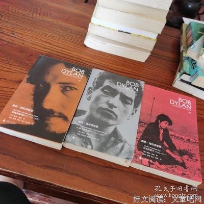 《地下乡愁蓝调》读后感锦集