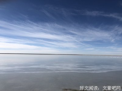 《直至世界尽头》的观后感大全