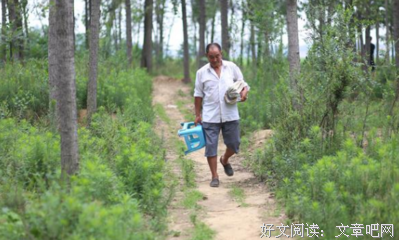 生命不息的名句_关于生命不息的名句