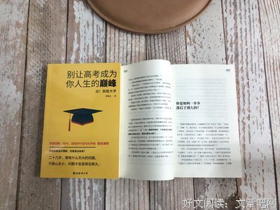《别让高考成为你人生的巅峰》读后感100字