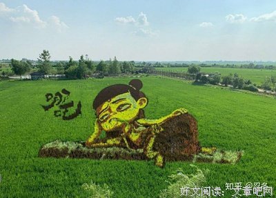 最新的《用自己最喜欢的一看说国式去生地不》经典句子大全