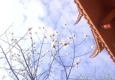 有关终归甘愿的句子