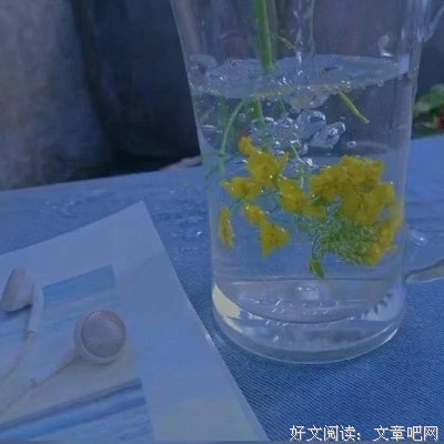 麦兜经典的句子