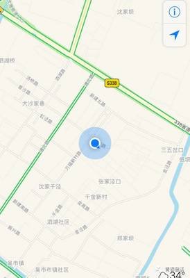 《她低眉浅笑，他自此沉沦》的句子