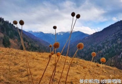 敏感的句子