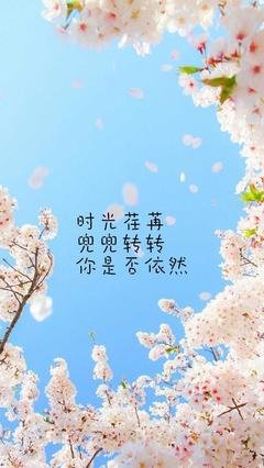往事随风经典的句子