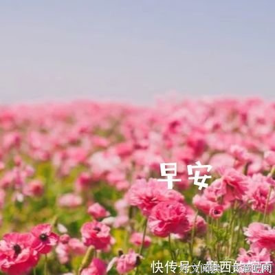 关于一人安好的优美句子