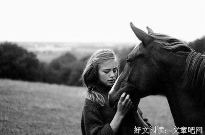 关于给我一匹马，陪你走天涯的优美句子