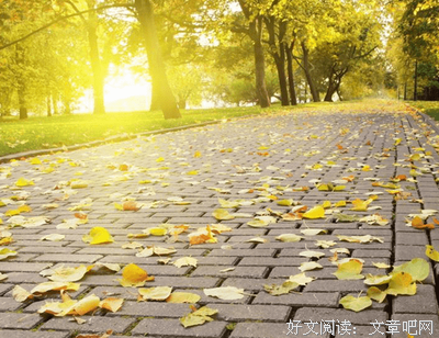 关于自己喜欢的，与子无关的优美句子
