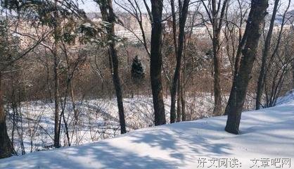 《我们现在如何做父母》读后感锦集
