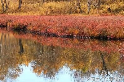 关于一切都是最好的安排的优美句子