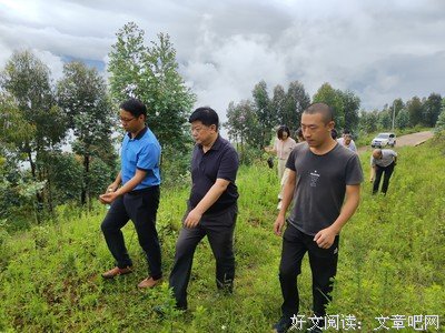 有关清水长流的句子