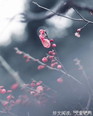 关于没有到不了的明天的优美句子