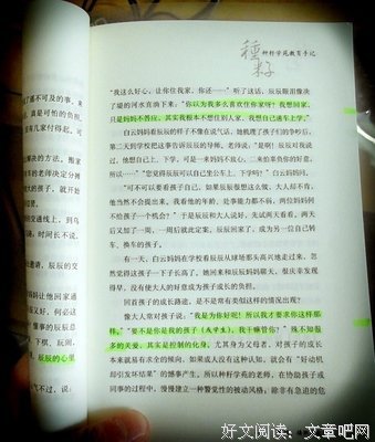 最新的《The kite Runner》好段摘抄大全