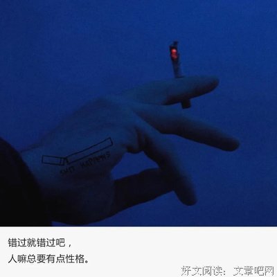 最新的《一个一个人》小说句子