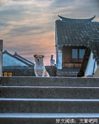 《我敢在你怀里孤独》读后感1000字
