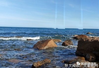 深海浅说读后感1000字