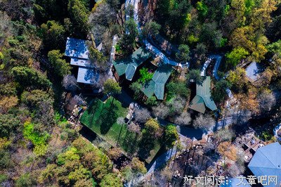 《庐山隐士》读后感100字