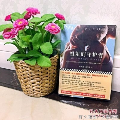 姐姐的守护者读后感1000字