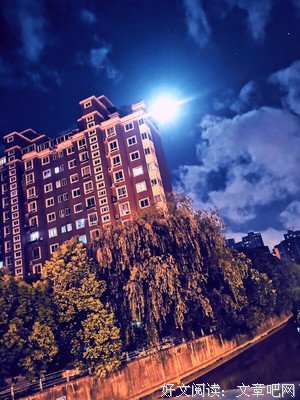 昨夜星辰昨夜风2读后感精选