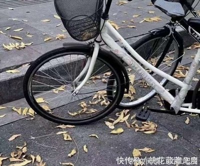 《未来妈妈》影评摘抄