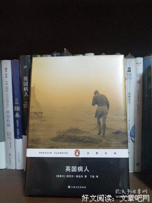 《英国病人》读后感100字