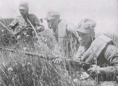 《摸鱼者》的读后感大全