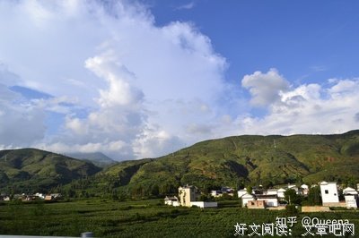 《一百零九个春天》读后感精选