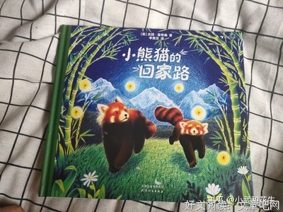 《小熊猫的回家路》经典读后感有感
